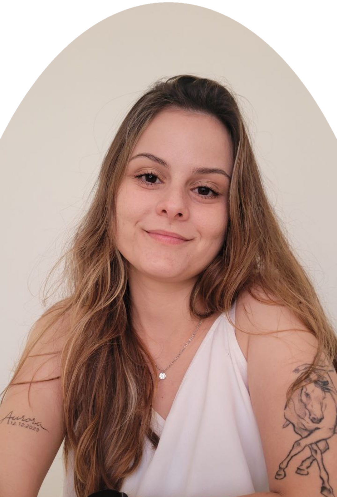 Descrição da Imagem
